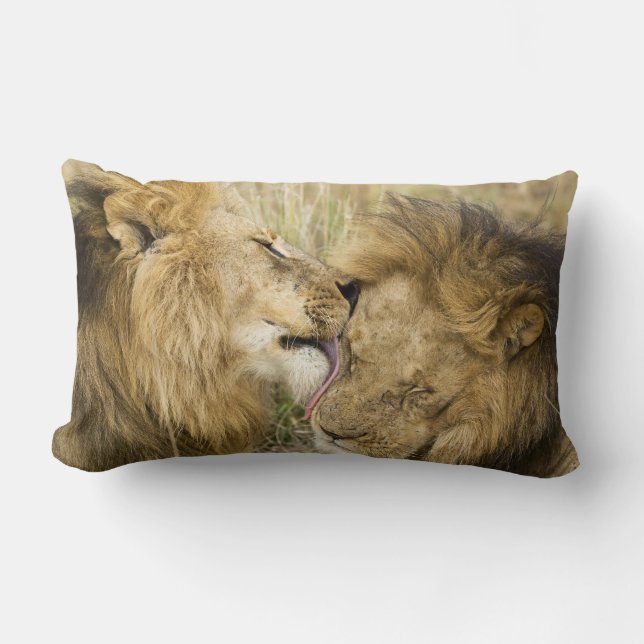 Coussin Rectangle Kenya, Masai Mara (Recto)