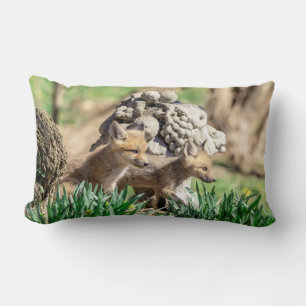 Coussin Rectangle Kits Fox dans la vallée de l'Hudson