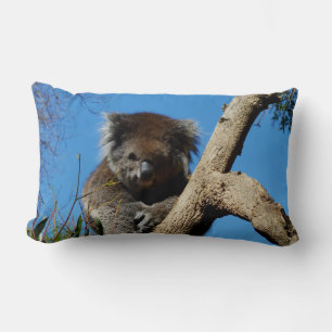 Coussin Rectangle Koala Porte Le Whisperer De L'Arbre,