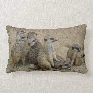 Coussin Rectangle La Famille des Terriens