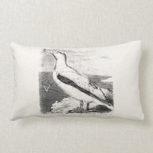 Coussin Rectangle La mouette vintage de mouette d'albatros triche