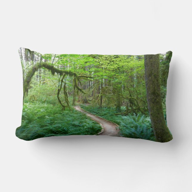 Coussin Rectangle La piste des Groves antiques au parc national olym (Recto)