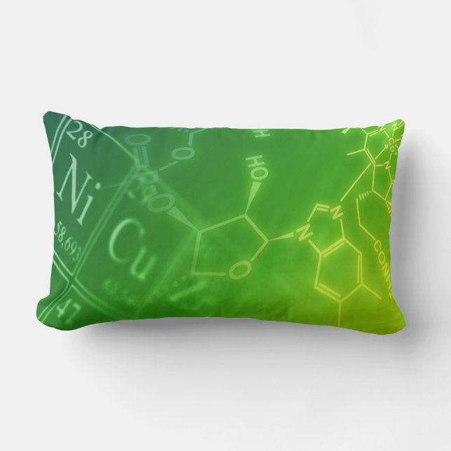Coussin Rectangle La Science (Recto)