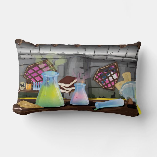 Coussin Rectangle Laboratoire des sciences (Recto)