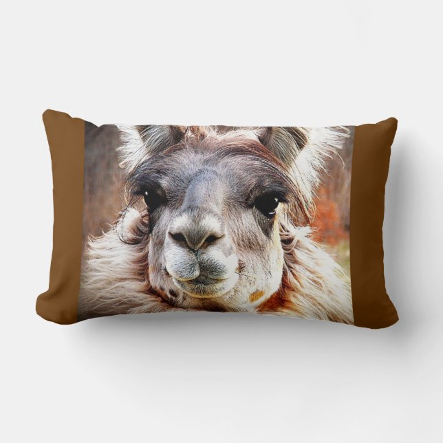 Coussin Rectangle Lama (Recto)