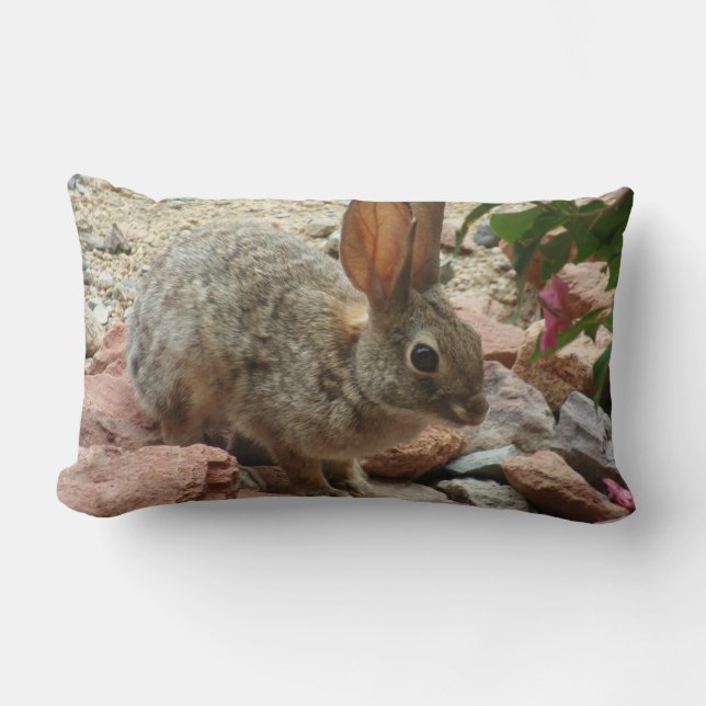 Coussin Rectangle Lapin de bébé dans le carreau d'accent de roche de (Recto)