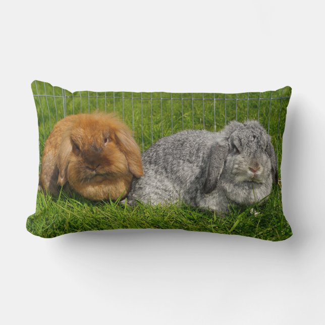 Coussin Rectangle Lapin Lapin Lapin Mini Lop de Lionhead Holland (Recto)