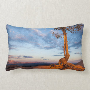 Coussin Rectangle L'arbre s'accroche au rebord, parc national de