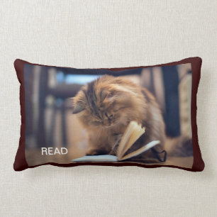 Coussin Rectangle Le carreau studieux de chat