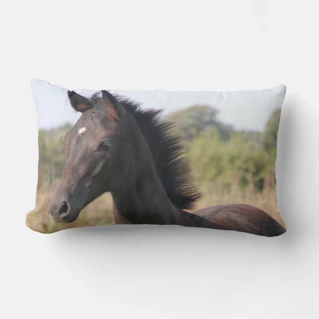 Coussin Rectangle Le nouveau ponton (Recto)