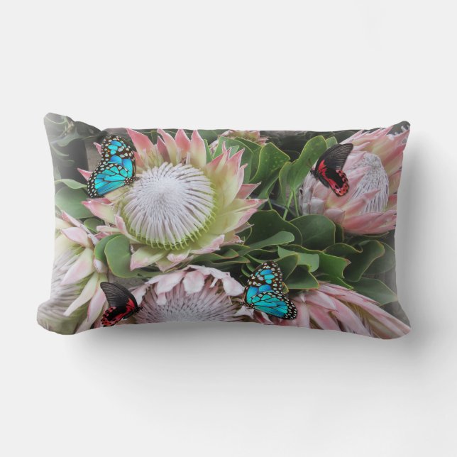 Coussin Rectangle Le roi Protea (Recto)