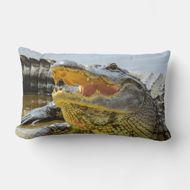 Coussin Rectangle Les Alligators américains face à face (Recto)