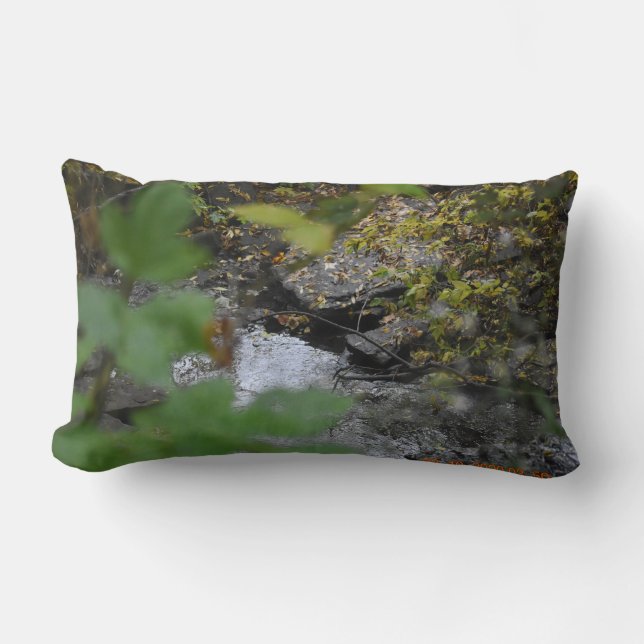 Coussin Rectangle Les enchantements de la Terre (Recto)