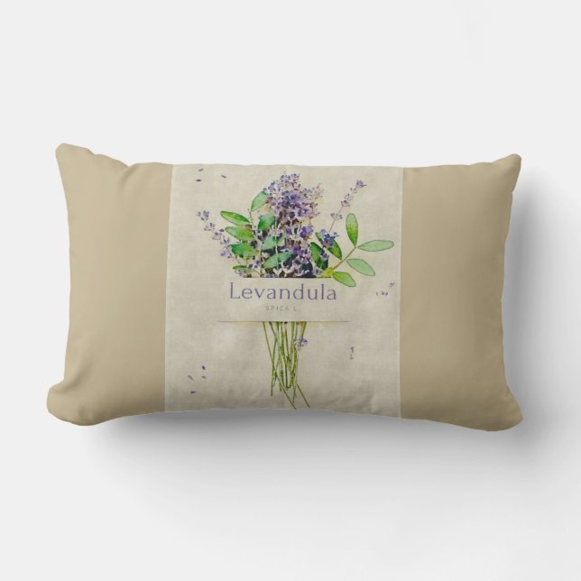 Coussin Rectangle Levandula spica l. (Recto)