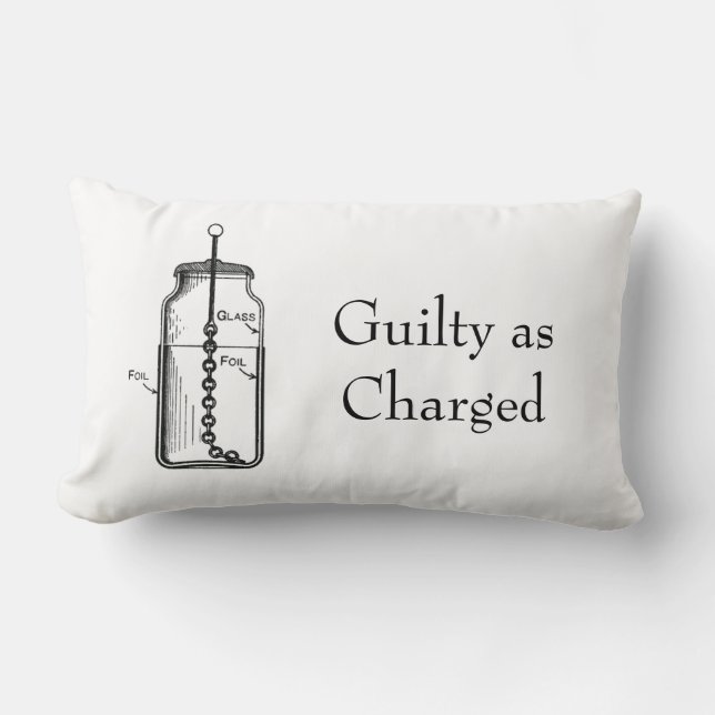 Coussin Rectangle Leyden Jar coupable (Recto)