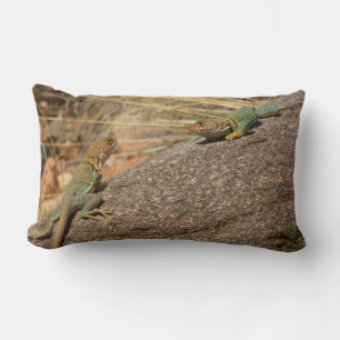Coussin Rectangle Lézards à collier occidentaux au Colorado