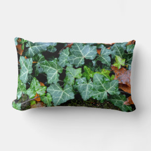 Coussin Rectangle Lierre et pierre de champ