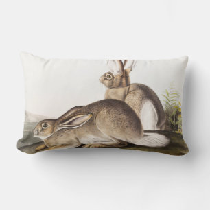 Coussin Rectangle Lièvre des Rocheuses de Townsend (Lepus Townsendii