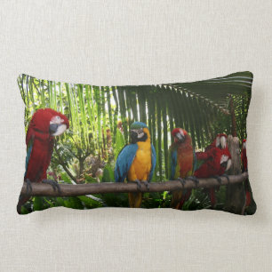 Coussin Rectangle Ligne de perroquet