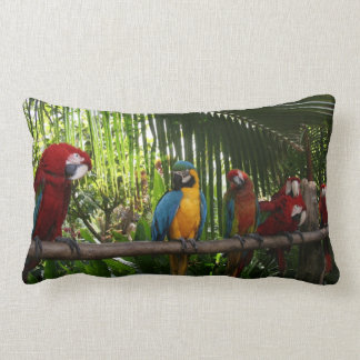 Coussin Rectangle Ligne de perroquet