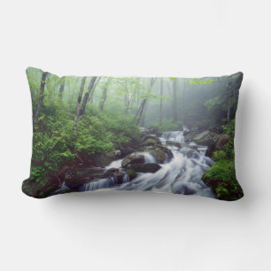 Coussin Rectangle Linn Cove Creek cascade à travers la brume
