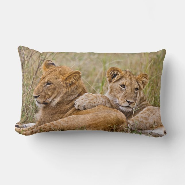 Coussin Rectangle Lionceaux se prélassant (Recto)