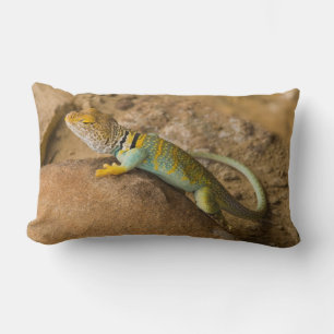 Coussin Rectangle Lizard à collier