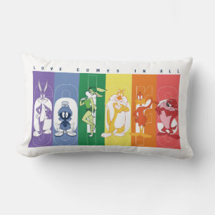 Coussin Rectangle LOONEY TUNES™ - L'Amour Vient Dans Toutes Les Coul