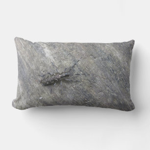 COUSSIN RECTANGLE L'OREILLER INSECTE