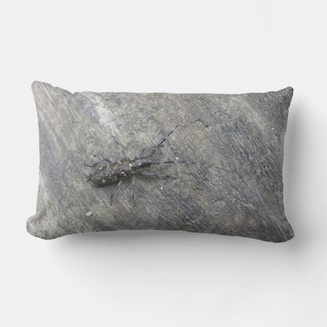 COUSSIN RECTANGLE L'OREILLER INSECTE (Recto)