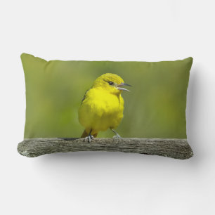 Coussin Rectangle Loriole de verger - Photographie originale