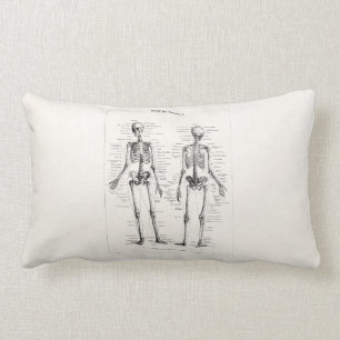 Coussin Rectangle L'os humain squelettique vintage d'anatomie