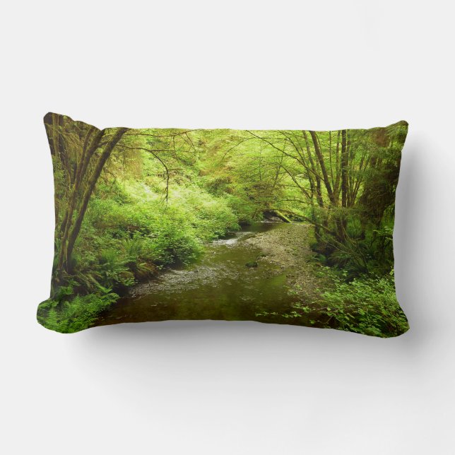 Coussin Rectangle Lost Man Creek I au Redwood National Park (Recto)