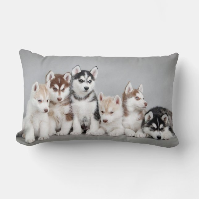 Coussin Rectangle loup (Recto)