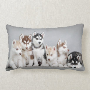 Coussin Rectangle loup