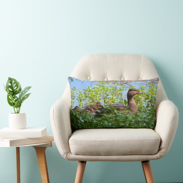 Coussin Rectangle Mallard et canettes-Natation par Shirley Taylor (Chaise)