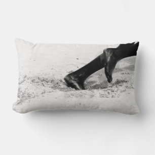 Coussin Rectangle manque de sable