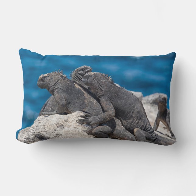 Coussin Rectangle Marine Iguana (Recto)