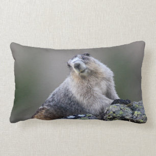 Coussin Rectangle marmotte de l'Alaska