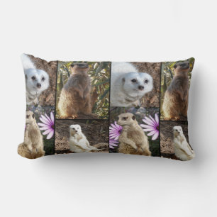 Coussin Rectangle Meerkat Photo Collage, Lumbar Cushion.