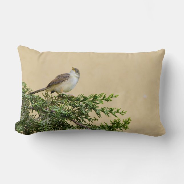 Coussin Rectangle Moineau  (Recto)