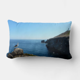 Coussin Rectangle Mouette sur l'île d'Anacapa aux îles Channel
