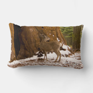 Coussin Rectangle Mule Deer