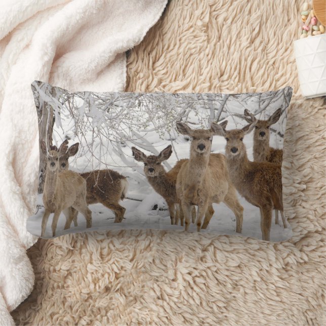 Coussin Rectangle Mule Deer Wyoming (Couverture)