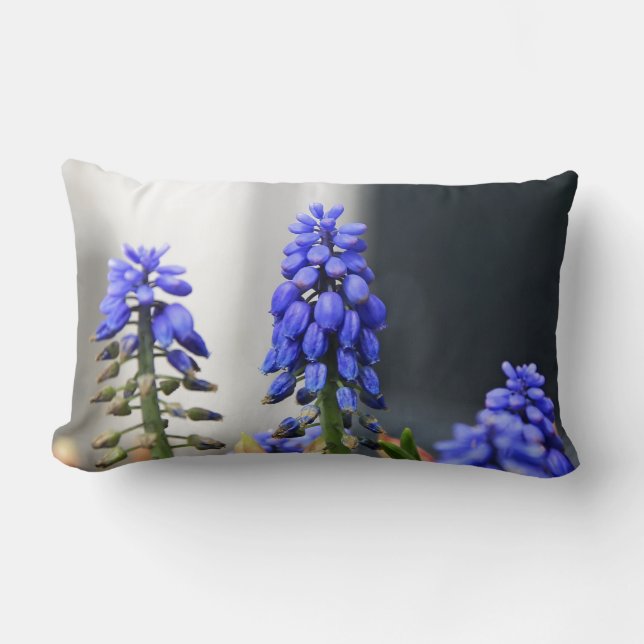 Coussin Rectangle muscari à grappe (Recto)