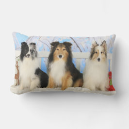 Coussin Rectangle Noël de trois couleurs de Sheltie