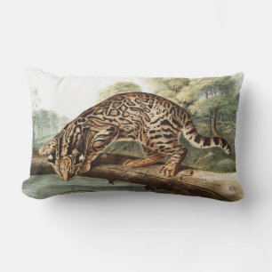 Coussin Rectangle Ocelot, chat léopard (Felis pardalis) Illustration