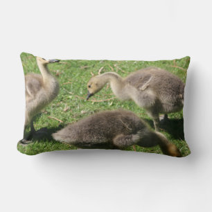 Coussin Rectangle Oies dans l'herbe