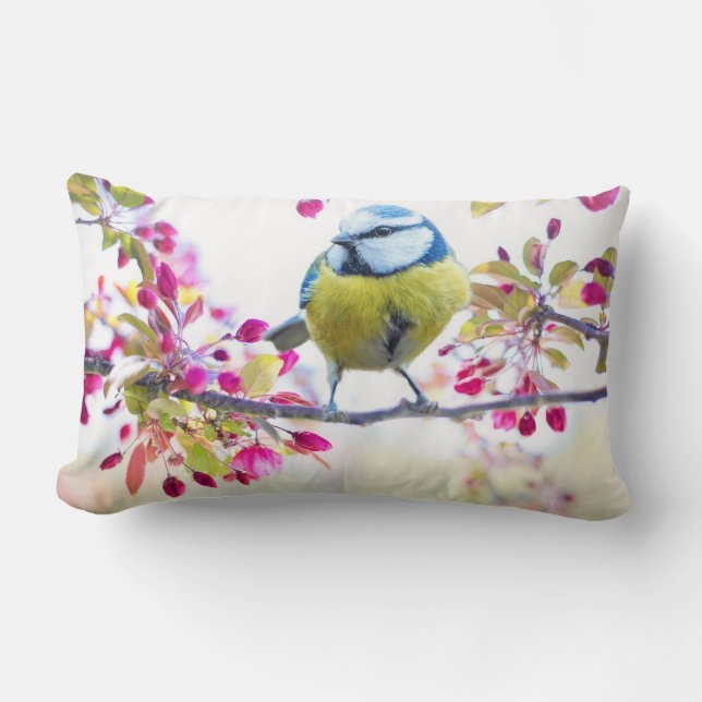 Coussin Rectangle Oiseau mignon (Recto)