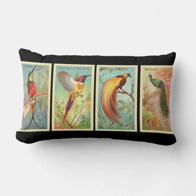 Coussin Rectangle Oiseaux vintages 2 (Recto)
